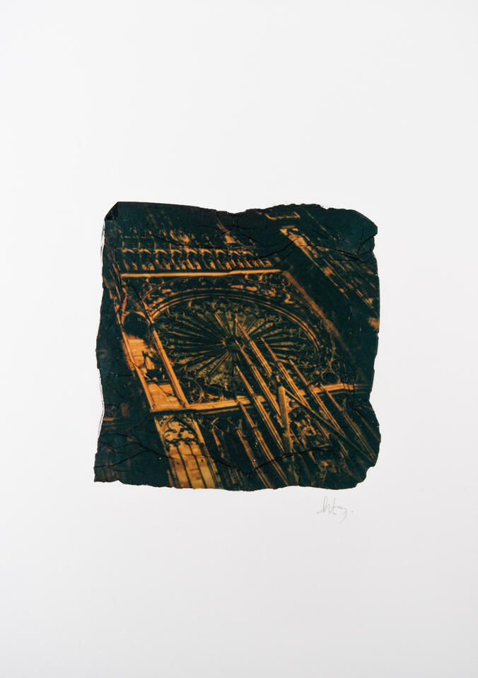 Rosace #2 Rosace de la Cathédrale Notre Dame de Strasbourg