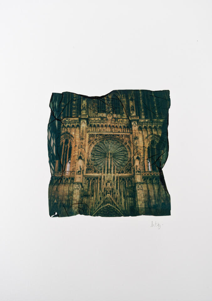 Rosace Rosace de la Cathédrale Notre Dame de Strasbourg