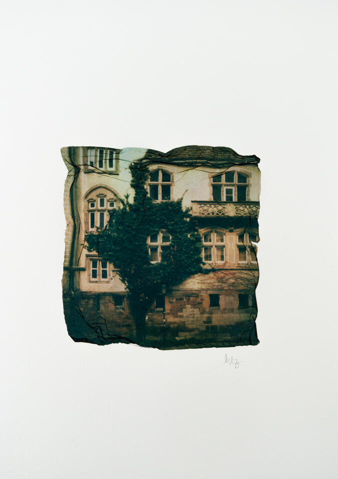 Fenêtre végétale #2 Quai Lezay-Marnesia Strasbourg
